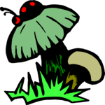 Mushroom 19