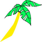 Palm Tree 34