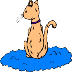 On Cloud - Cat