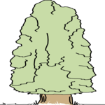 Tree 039