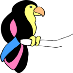 Bird 17