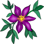 Flower 337