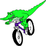 Mountain Biking - Alligator