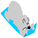 Bear on Toboggan