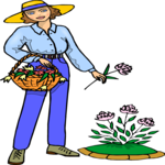 Picking Flowers