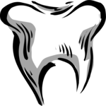 Tooth 12