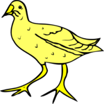 Bird 043