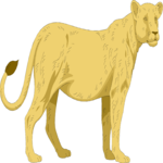 Lioness 3