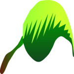 Leaf 065