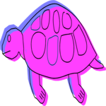 Turtle 3