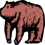 Bear 20