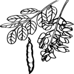 Leaves 22