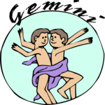 Gemini 14