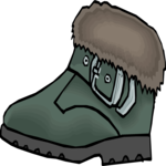 Shoe 18