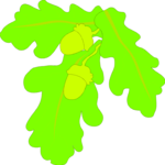 Leaf 047