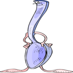 Spoon - Serving 2