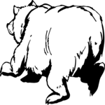 Bear 12