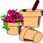 Flowers & Pots