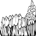 Row of Flowers