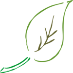 Leaf 074