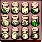 Spice Rack 3