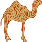 Camel 08