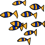 Fish - Sardines