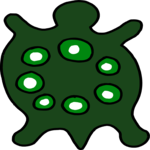 Turtle 16