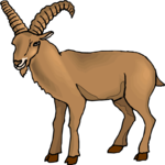 Goat 07