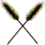 Wheat 6
