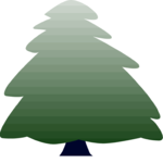 Tree 060