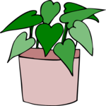 Plant 074