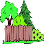 Trees & Fence