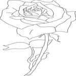 Rose - Outline