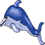 Dolphin 34