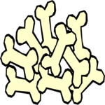 Bones 2