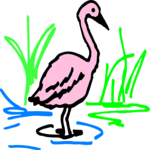 Flamingo 06