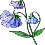 Flower 313