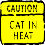 Caution - Cat in Heat