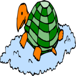 On Cloud - Turtle