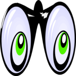 Binoculars 13