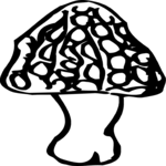 Mushroom 06