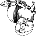 Apples 03