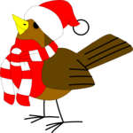 Christmas Bird