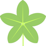 Leaves 05