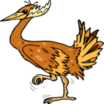 Bird 164