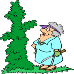 Pruned Bush 2