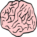Brain 4