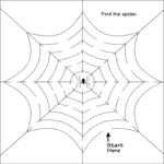 Maze - Spider Web