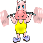 Weight Lifter - Hippo
